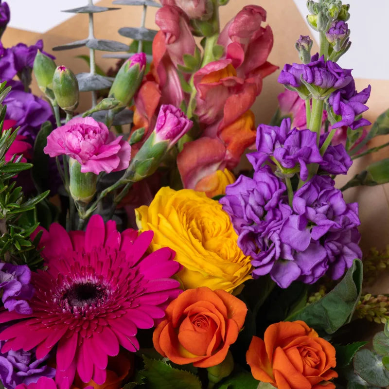 Fresh Flower Bouquet - Florist Choice Vibrant