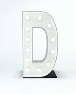 Light Up Letter | D