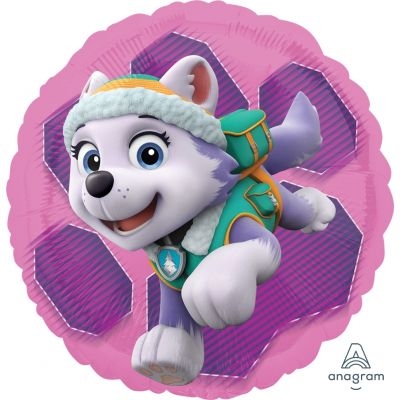 Skye & Everest Paw Patrol Team Foil Balloon